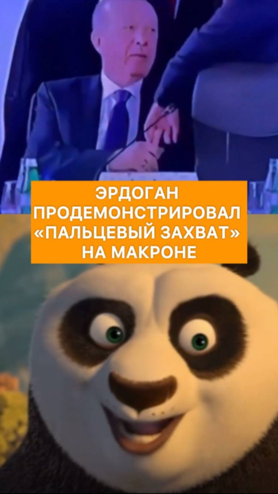 Эрдоган продемонстрировал "пальцевой захват" на Макроне