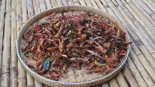 Кузнечики во фритюре и вкусные кулинарные насекомые