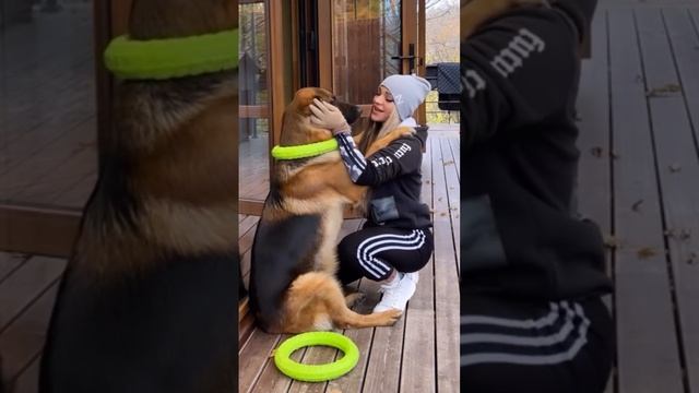 ДискотЭка 💃🐕❤️