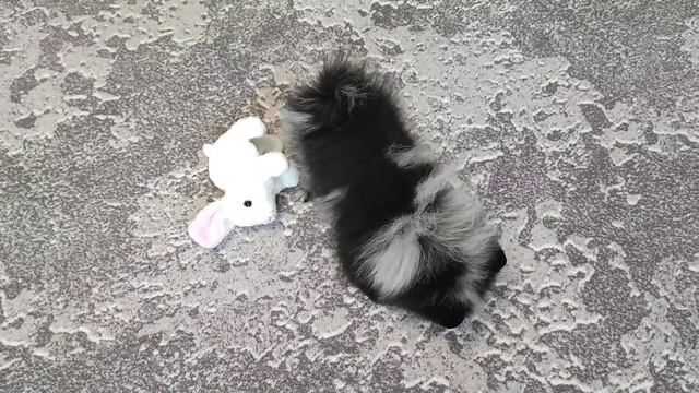 1000137130.mp4