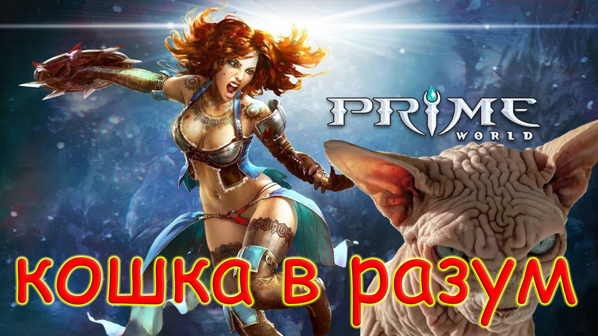 КОШКА В РАЗУМ - Prime World - Прайм Ворлд