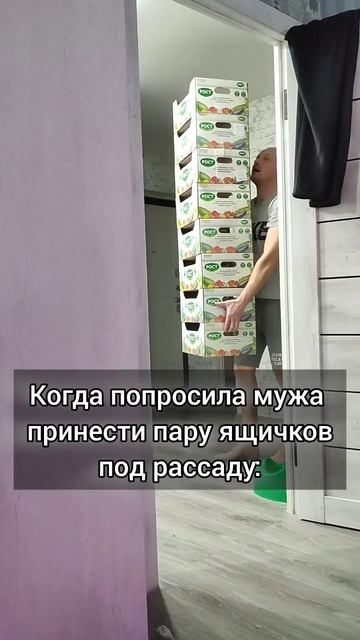 немного переборщил #мужижена #комедия #рассада #shorts