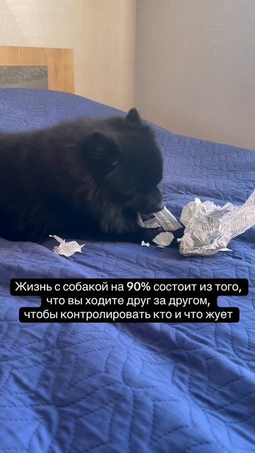 da72896f5ccb430d9847817888679def