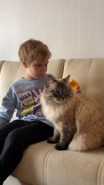 Моя кошка
