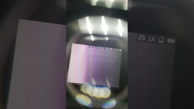 1000000260.mp4