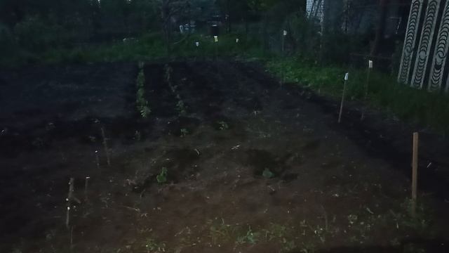 Моя супер-дача👍😁/19.05.2025