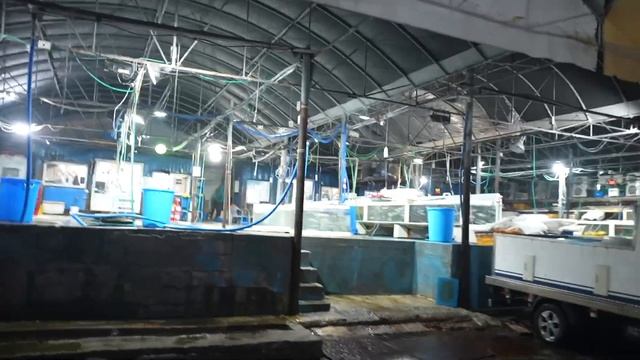 АлоЯ Вера червь пожиратель 1