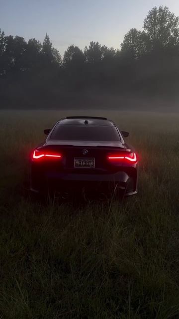 m4 g80