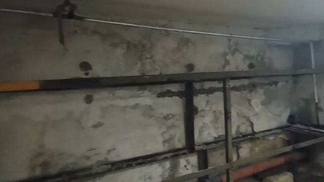 VID-20250519-WA0122.mp4