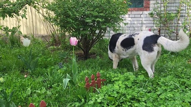 Тёплый майский день. Warm May