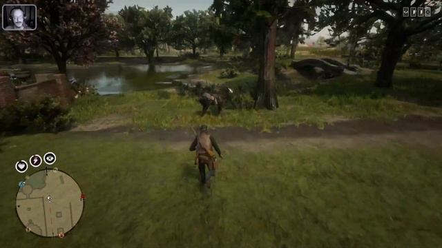Red Dead Online: Я опять дал в морду своей лошади