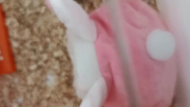 1000057084.mp4