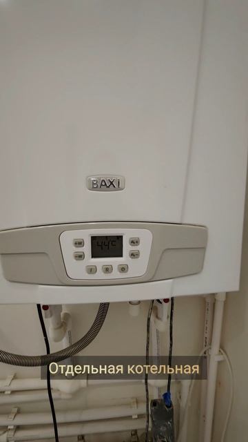 InShot_20250320_135915364.mp4