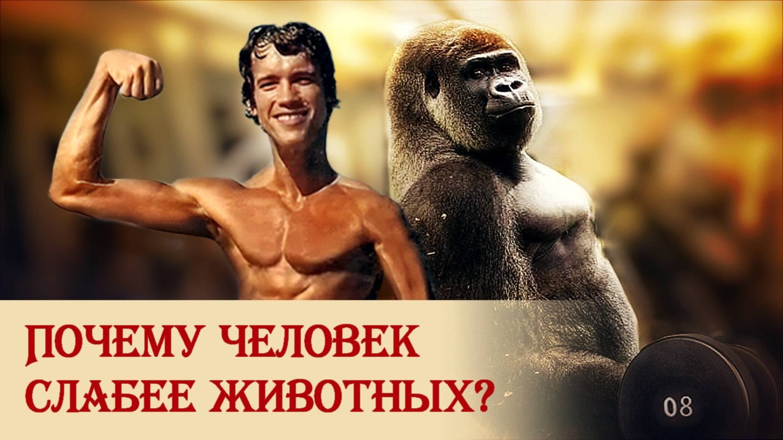 Почему человек слабее животных?
