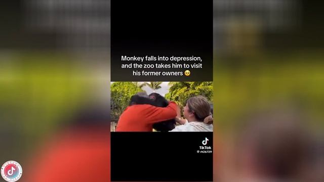Best video of Tik Tok! 19.05.25 / 02