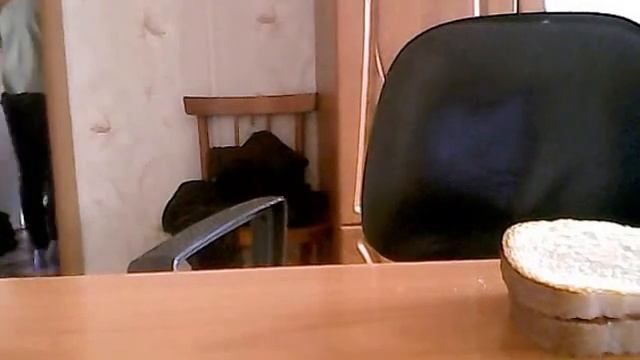 Видео c веб-камеры от 18 ноября 2015 г., 07:00 (UTC)