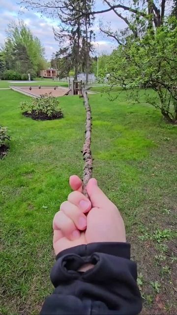 В конце белка! Avada Kedavra