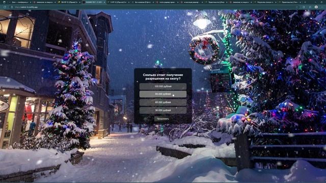 RADMIR TEST _ 12 SERVER