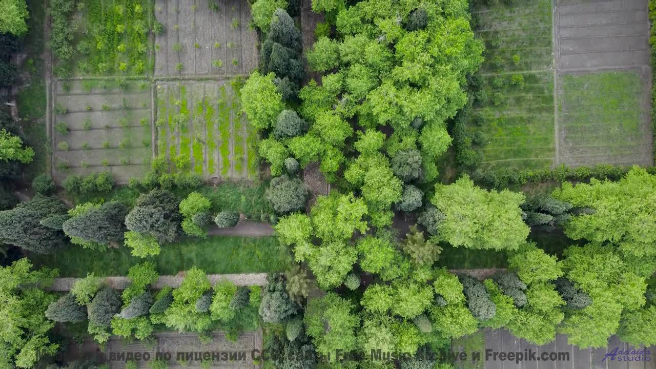 Музыка и виды - от которых не оторваться - There is a blue bird in my coffe -- Cartouch -- Cartouch