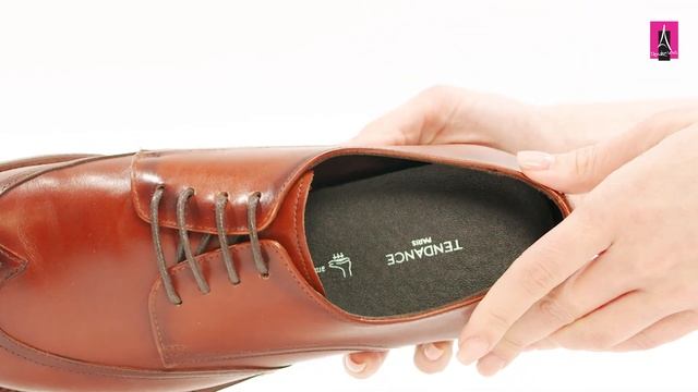 4443683 Видеообзор I Мужские дерби TENDANCE