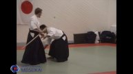 7 Aikido Ken Tai Ken Gyaku Hanmi Zempo Gedan Ikkyo Shishiya Sensei Sandviken 2003