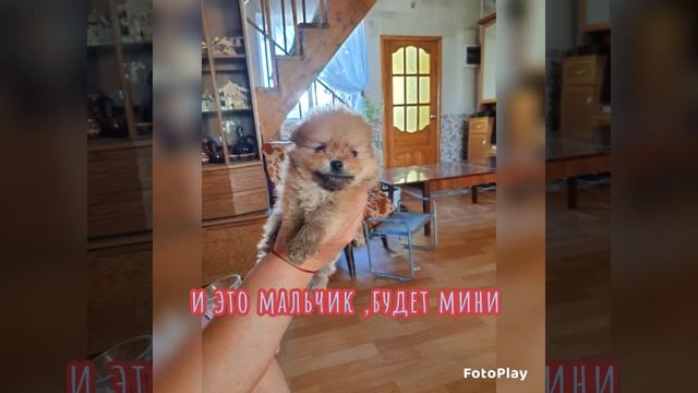звоните, пишите 😋