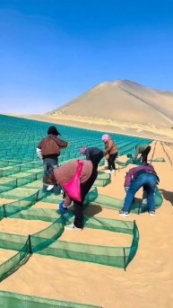 Как Китай полвека боролся с пустыней: от песков к оазисам.