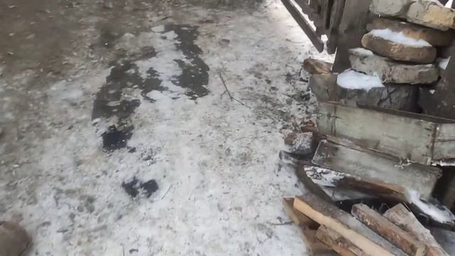 Деревня.Хотели покрыть свиноматку
