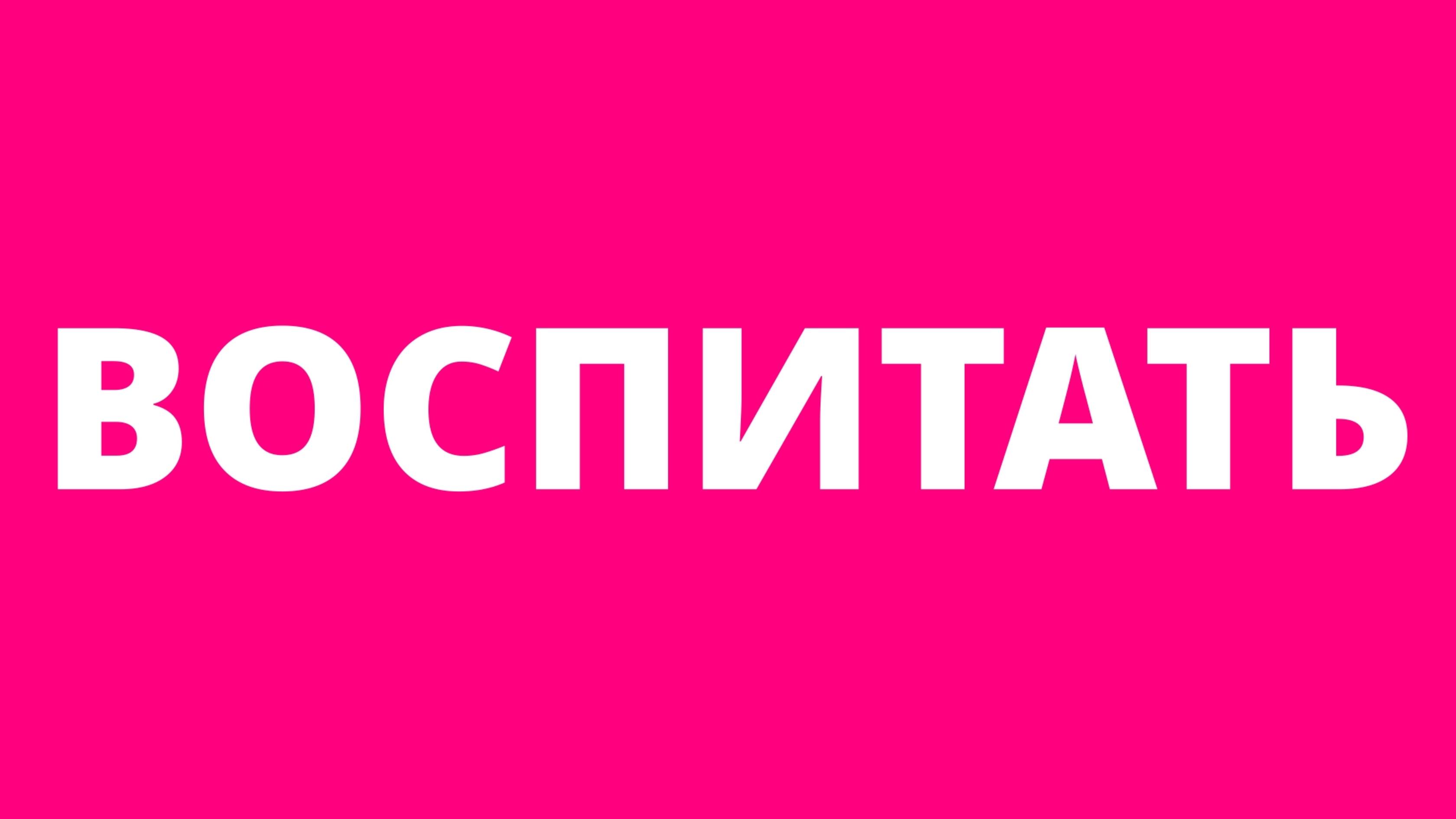 SILAGAR | ТРАНЗИТ | Кого будем воспитывать ?