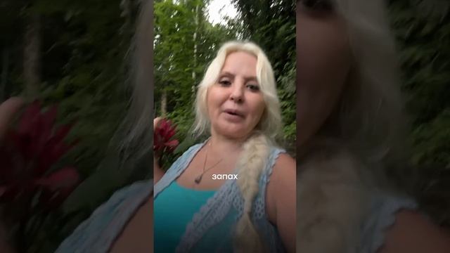Как вас уб-вают диваны?