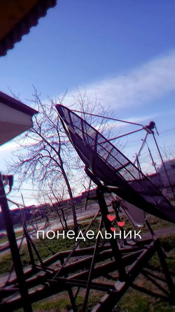 19.05.2025г Утро #доброеутро #хорошегодня #людовик #утроначинаетсянескофе #лисятки #мяф #врек #вреки