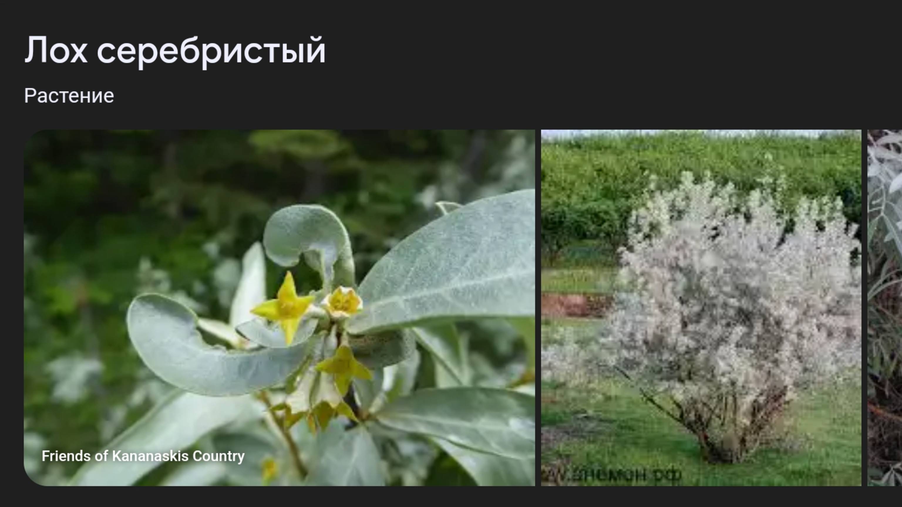 Истории со школы (извините за шорохи)