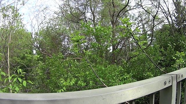 Дело пяти кандских хоккеистов.