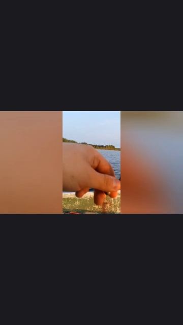 Ловим окуней и красоты лесного озера