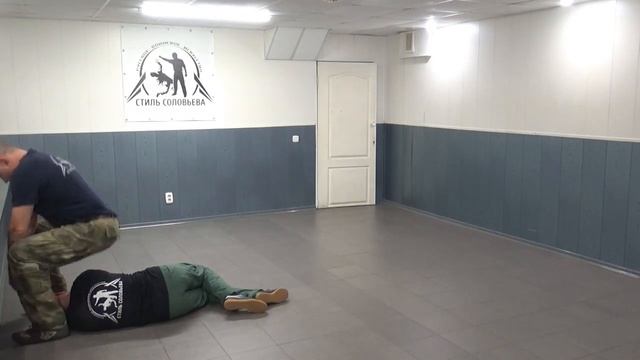 Принципы защиты от ударов руками. Добивание ногами. Ко