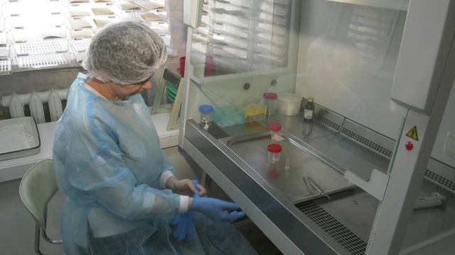 Клещи покусали почти две сотни жителей Воронежской области за неделю