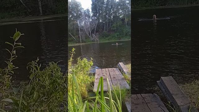 VID_20240806_193000(0).mp4