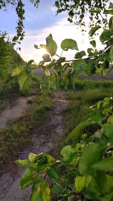 Красоты природы