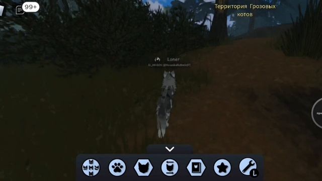 КАК ПОЛУЧИТЬ ШАРФ МУДРЕЦА В WARRIOR CATS!?