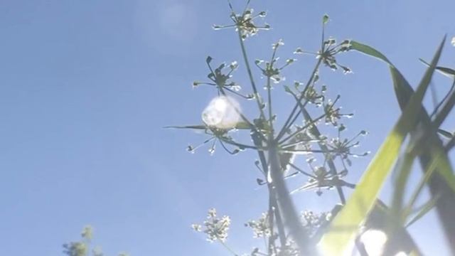 слово.mp4