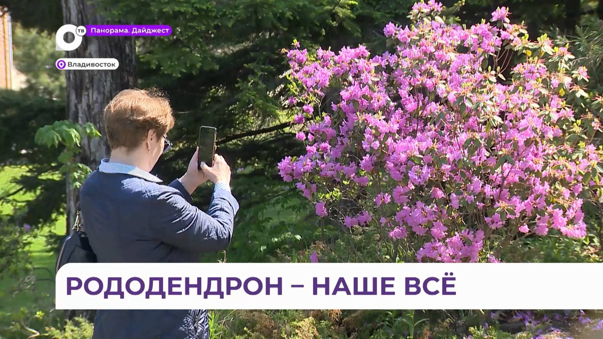 В Ботаническом саду во Владивостоке прошел фестиваль «Дни Р»