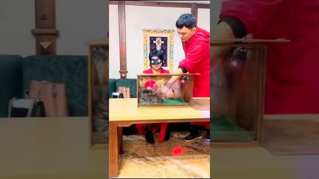 Игра “Ящик Пандоры”