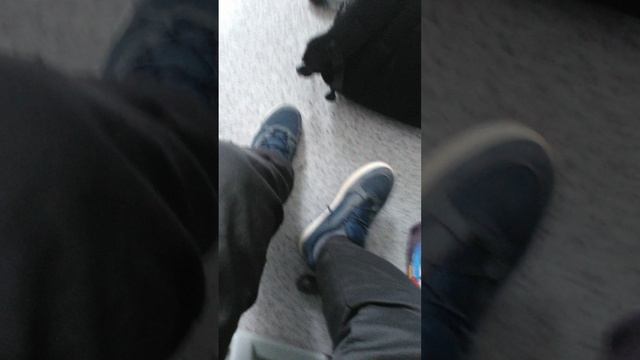 самые чистые ботинки в мире