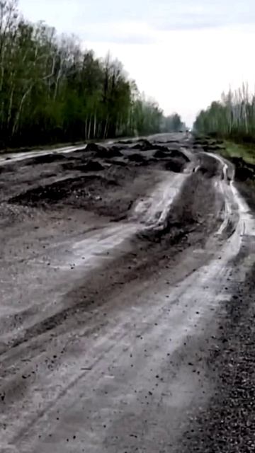 Состояние дороги в Омской области Исилькульский район