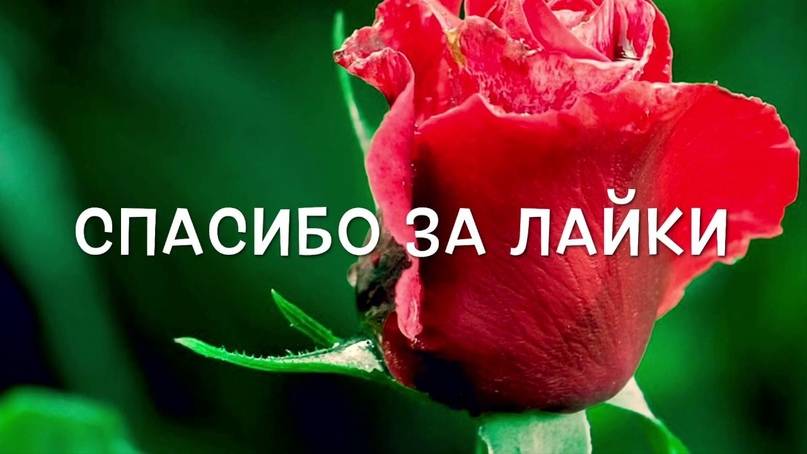 300 000 лайков Спасибо