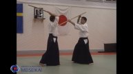 15 Aikido Jo Tai Ken Gyaku Hanmi Zempo Gedan Ikkyo Shishiya Sensei Sandviken 2003