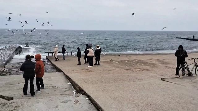 Одесса ⚓ #уЧерногоМоря ✨ Январь 2025