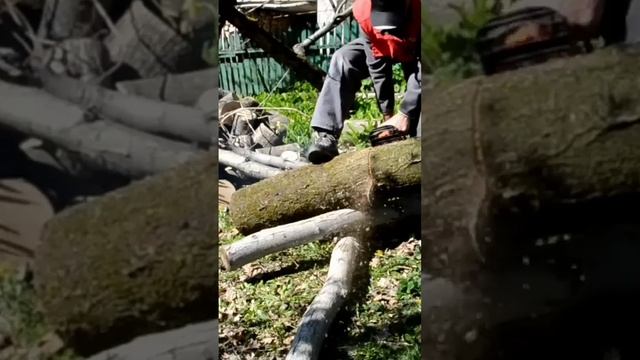 Почему появляется кривой срез бревна во время пиления