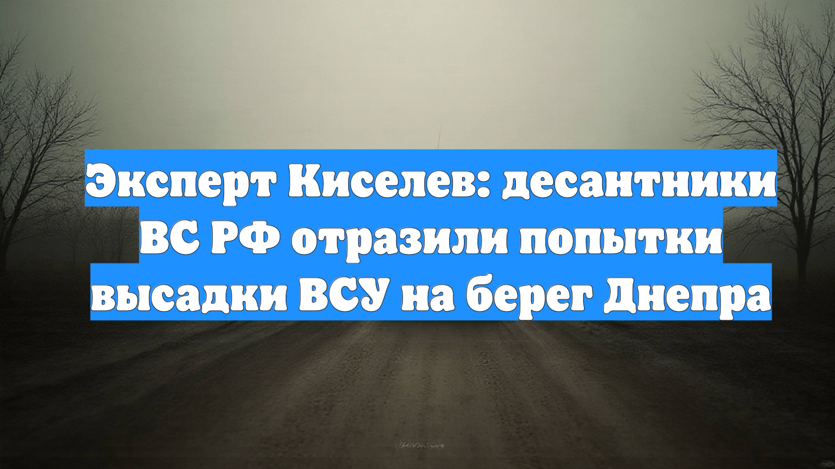 Эксперт Киселев: десантники ВС РФ отразили попытки высадки ВСУ на берег Днепра