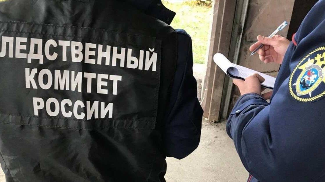 Школьница забила до смерти молотком семилетнюю девочку в Бердянске